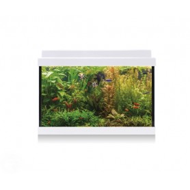 Kit AQUA LED 20 blanco – Acuario 20 L con luz LED y filtro Kit AQUA LED 20 blanco – Acuario 20 L con luz LED y filtro