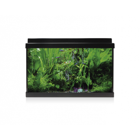 Kit AQUA LED 33 negro – Acuario completo 33 L con filtro y luz LED