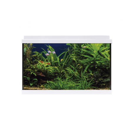 Kit AQUA LED 64 blanco – Acuario completo 64 L con LED y filtro interno