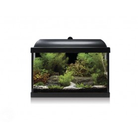 Kit AQUA LED PRO 25 negro – Acuario de 25 L con luz LED y filtro interno