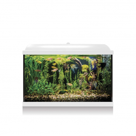 Kit AQUA LED PRO 68 blanco – Acuario de 68 L con filtro y LED