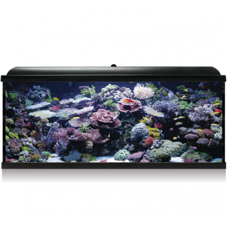 Aqua LED Pro HYDRA 240