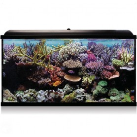 Aqua LED Pro HYDRA 300