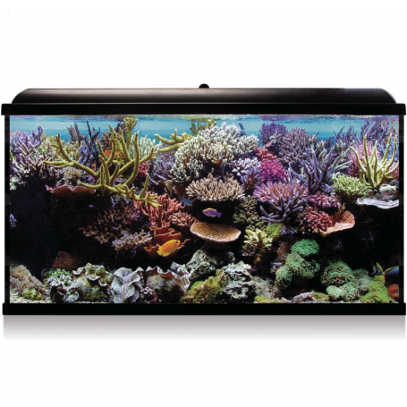 Aqua LED Pro HYDRA 300