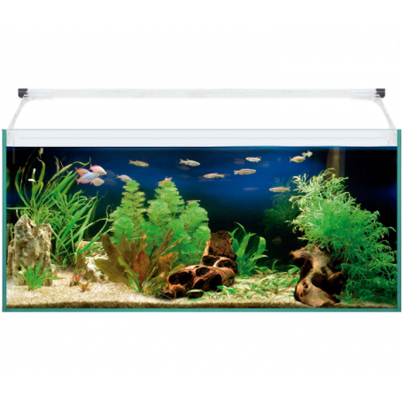 Kit AQUA LIGHT Glass 80 – Acuario de cristal 76 L con luz LED