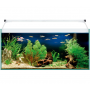 Kit AQUA LIGHT Glass 80 – Acuario de cristal 76 L con luz LED