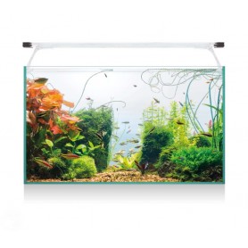 Kit AQUA LIGHT Glass 60 – Acuario de cristal 52 L con luz LED