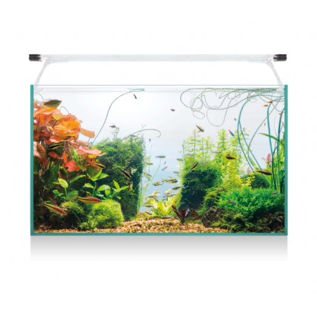 Kit AQUA LIGHT Glass 60 – Acuario de cristal 52 L con luz LED