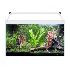 Kit AQUA LIGHT Glass 50 – Acuario de cristal 41 L con luz LED Kit AQUA LIGHT Glass 50 – Acuario de cristal 41 L con luz LED
