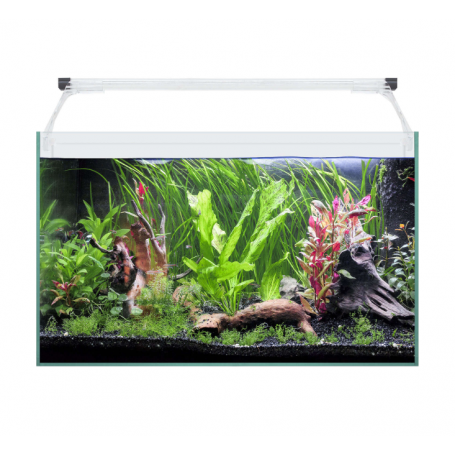 Kit AQUA LIGHT Glass 50 – Acuario de cristal 41 L con luz LED