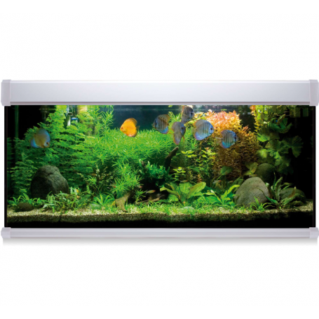 Kit AQUA LUX PRO 240 Blanco (240 L) – Acuario LED con Filtro Exterior