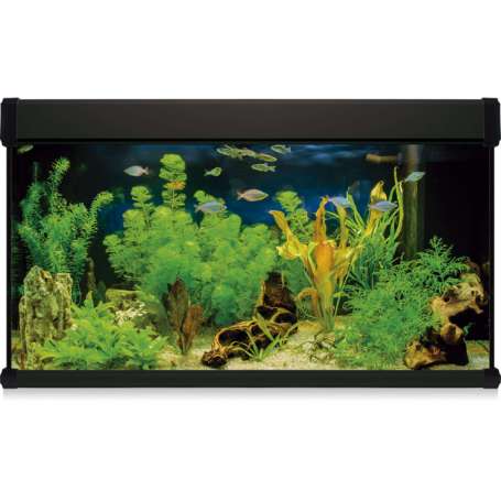 Kit AQUA LUX PRO 300 Negro (300 L) – Acuario LED con Filtro Exterior