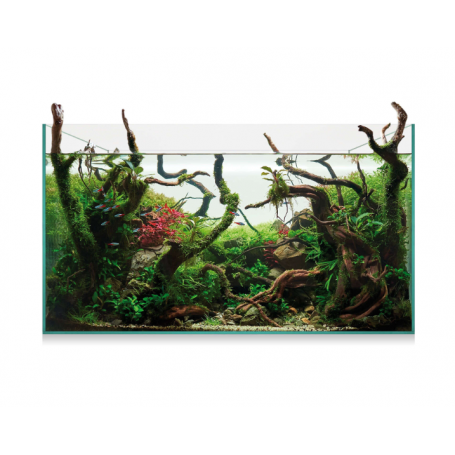 Urna Aquascape 145 (143 L) – Acuario de Cristal