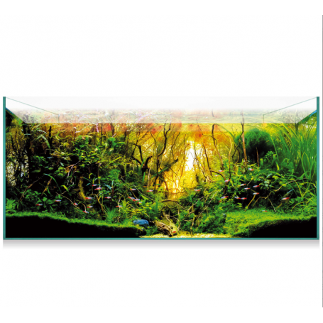 Urna Aquascape 180 (179 L) – Acuario de Cristal