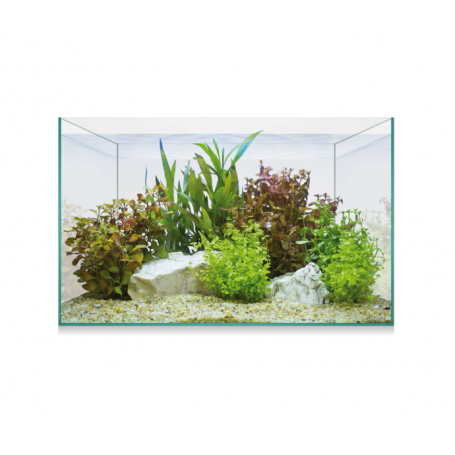 Kit AQUASCAPE BASIC 8 (6,8 L) – Acuario Nano para Aquascaping