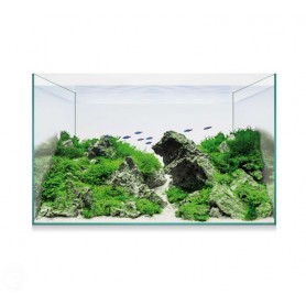 Kit AQUASCAPE BASIC 14 (12,7 L) – Nano Acuario para Aquascaping Kit AQUASCAPE BASIC 14 (12,7 L) – Nano Acuario para Aquascaping