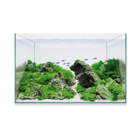 Kit AQUASCAPE BASIC 14 (12,7 L) – Nano Acuario para Aquascaping