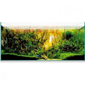 Kit Aquascape 180 (179 L) – Acuario de Cristal para Aquascaping