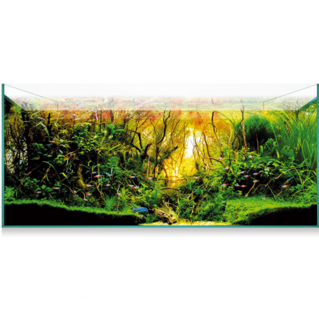 Kit Aquascape 180 (179 L) – Acuario de Cristal para Aquascaping