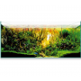 Kit Aquascape 180 (179 L) – Acuario de Cristal para Aquascaping