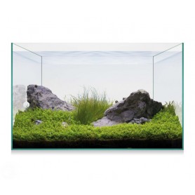 Kit AQUASCAPE BASIC 20 (18 L) – Nano Acuario de Cristal para Aquascaping