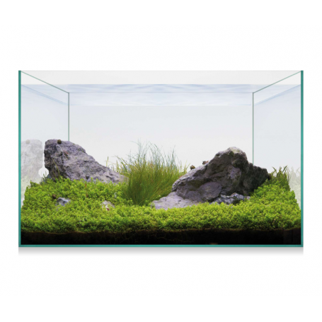 Kit AQUASCAPE BASIC 20 (18 L) – Nano Acuario de Cristal para Aquascaping