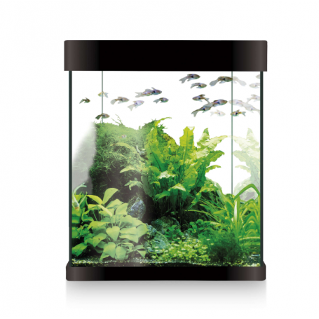 Kit Nano Aqua LED 10 Negro – Acuario Nano 10L