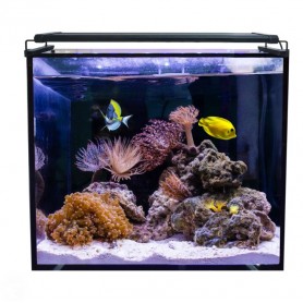 Acuario marino Aqua Ocean Hydra 164L con LED y filtro HYDRA