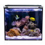 Acuario marino Aqua Ocean Hydra 164L con LED y filtro HYDRA