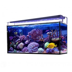 Acuario marino AQUA OCEAN Hydra 240 L con filtración avanzada