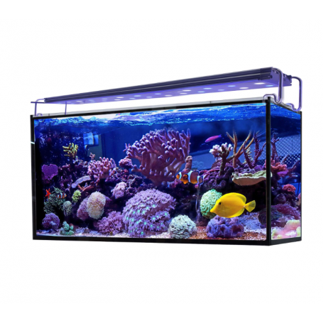 Acuario marino AQUA OCEAN Hydra 240 L con filtración avanzada