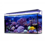 Acuario marino AQUA OCEAN Hydra 240 L con filtración avanzada