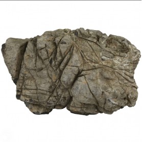 Rocas Naturales AQUASCAPING Elephant Grey Luohan