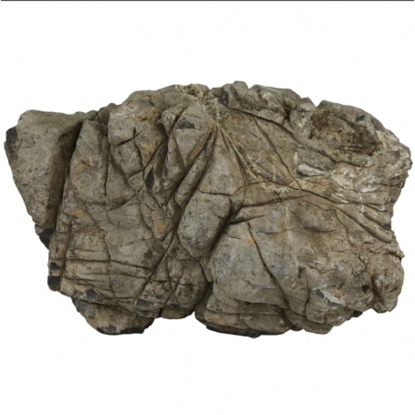 Rocas Naturales AQUASCAPING Elephant Grey Luohan