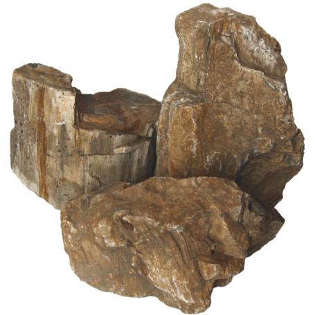 Rocas Naturales AQUASCAPING Wooden Fossil Mix