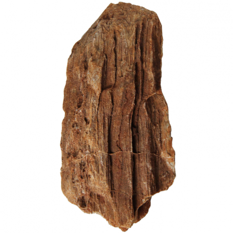 Rocas Naturales AQUASCAPING Gold Petrified Mix