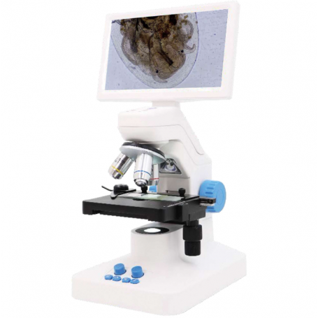 Microscopio con pantalla digital 7″