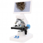 Microscopio con pantalla digital 7″
