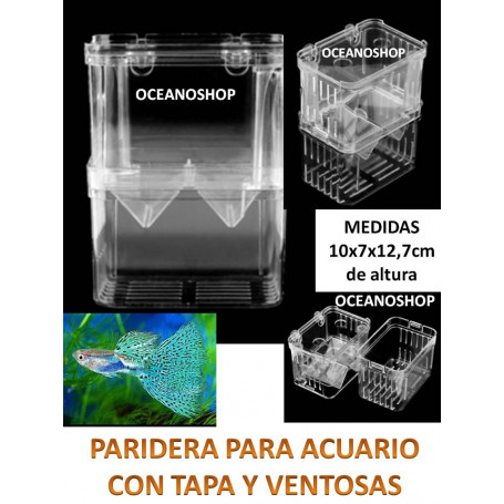 Paridera flotante para criar o enfermería.