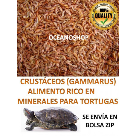 Gammarus  250ml comida para tortugas
