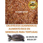 Gammarus  250ml comida para tortugas