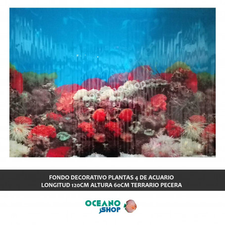 FONDO DECORATIVO PLANTAS 4 de ACUARIO  longitud 120cm altura 60cm terrario pecera