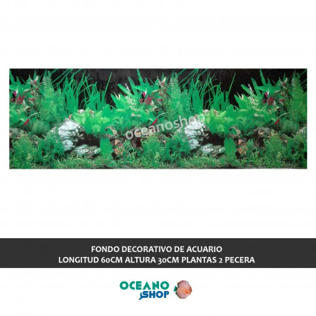 FONDO DECORATIVO de ACUARIO  longitud 60cm altura 30cm plantas 2 pecera