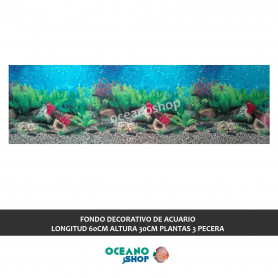 FONDO DECORATIVO de ACUARIO  longitud 60cm altura 30cm plantas 3 pecera FONDO DECORATIVO de ACUARIO  longitud 60cm altura 30cm plantas 3 pecera