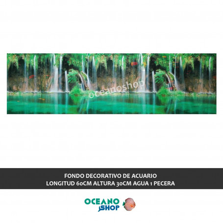 FONDO DECORATIVO de ACUARIO  longitud 60cm altura 30cm agua 1 pecera