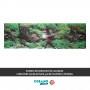 FONDO DECORATIVO de ACUARIO  longitud 60cm altura 30cm plantas 6 pecera