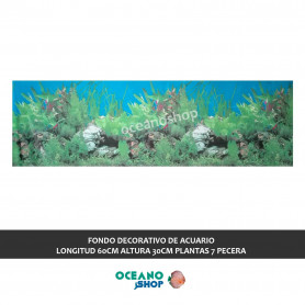 FONDO DECORATIVO de ACUARIO  longitud 60cm altura 30cm plantas 7 pecera FONDO DECORATIVO de ACUARIO  longitud 60cm altura 30cm plantas 7 pecera