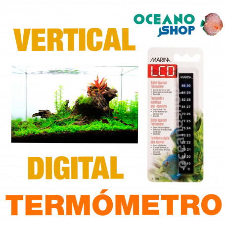 Termómetro Vertical Digital Aquarius MARINA - Minerva