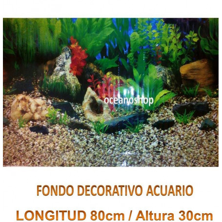 Fondo decorativo acuario 80x30cm