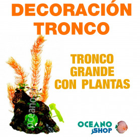 Ornamento Deco Wood con Plantas MARINA - Grande Ornamento Deco Wood con Plantas MARINA - Grande